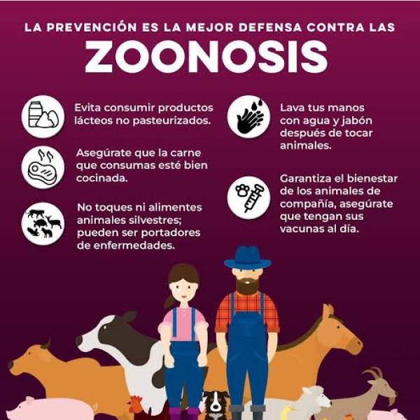 Perritos sanos, familias protegidas: invitan a Clínicas Móviles para evitar enfermedades zoonóticas